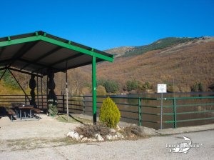 Coto de Miraflores de la Sierra nov 2011 (1)