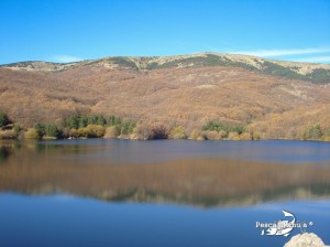 Coto de Miraflores de la Sierra nov 2011 (6)