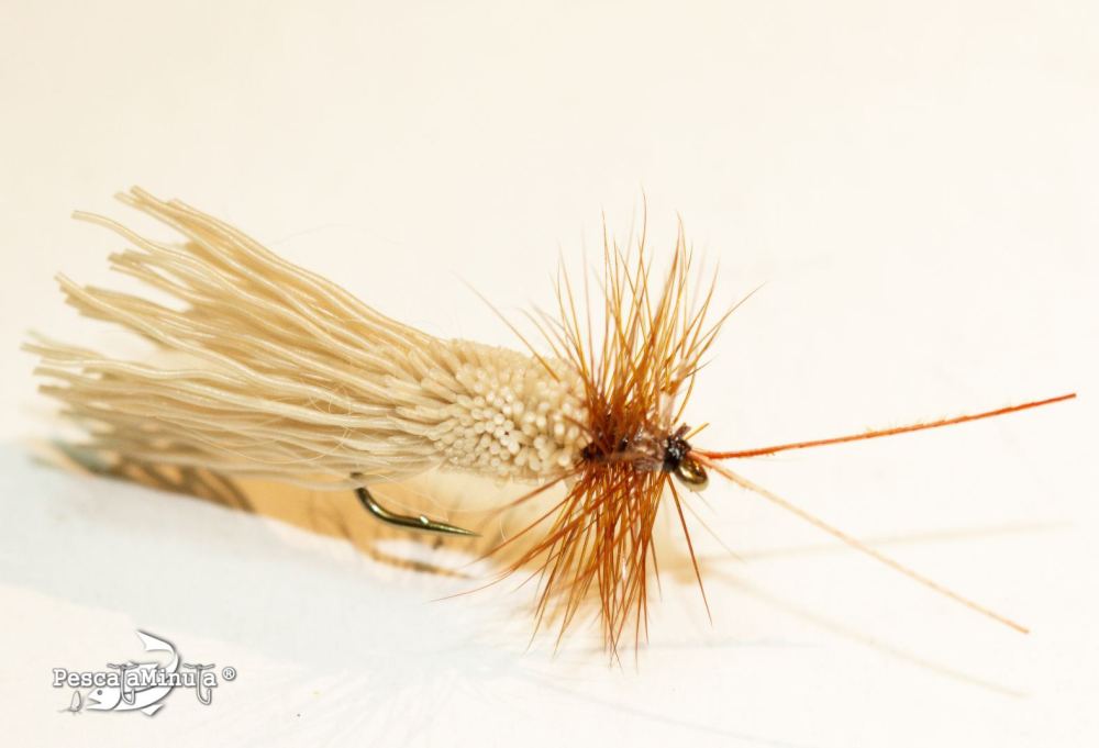 Tricóptero ciervo adulto