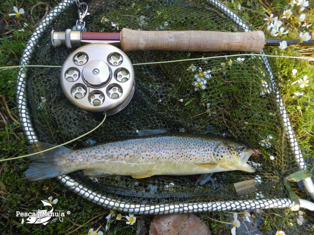 Alameda del valle julio 2012 (3)