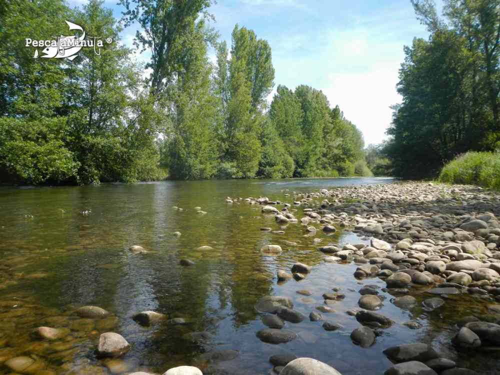 El Condado II rio Porma 14 junio 2012 (7)