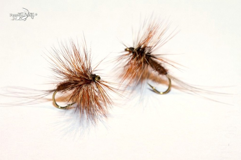 Rhithrogena Haarupii