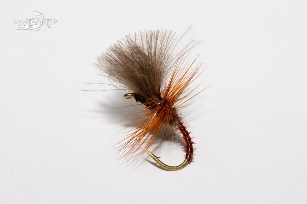 Midge CDC & condor (2)