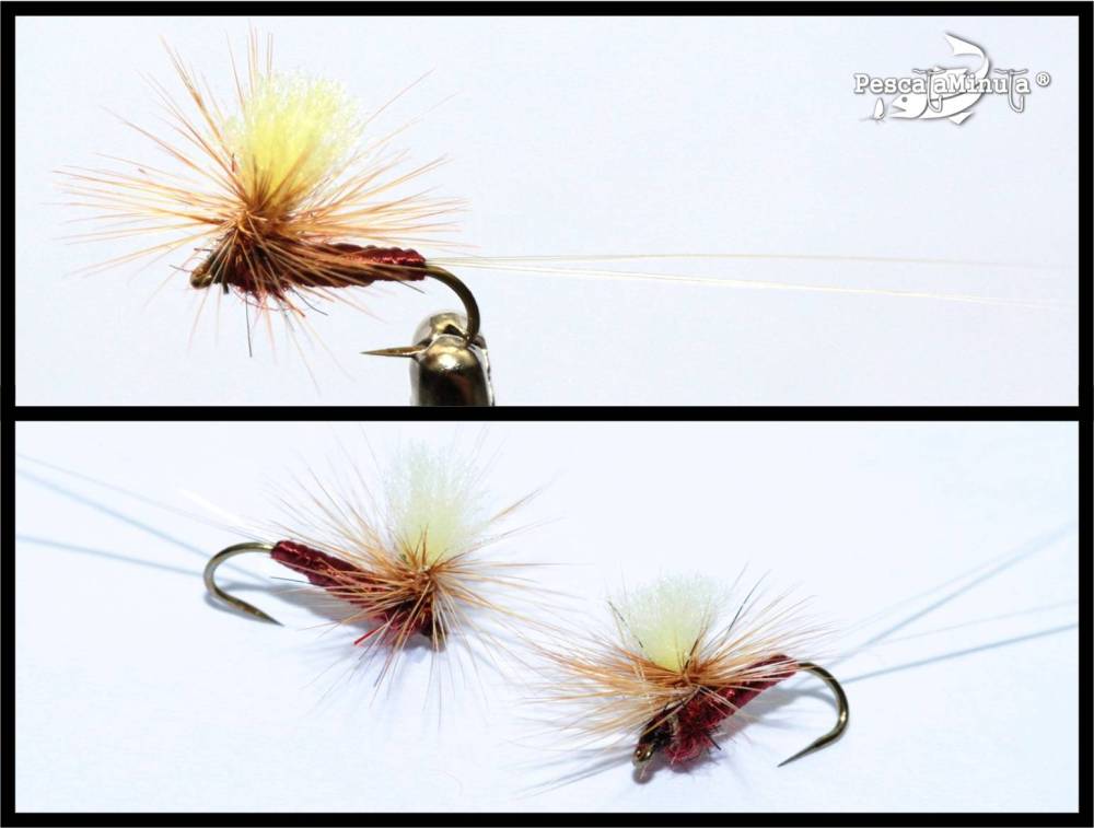 Mosaico Rhitrogena paralop