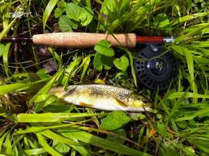 Aragosa mayo 2013 (5)