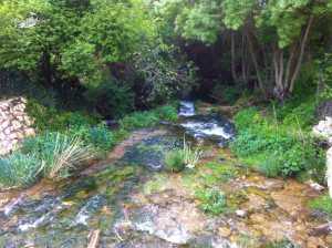 Aragosa mayo 2013 (8)