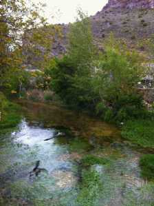 Aragosa mayo 2013 (9)