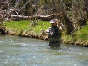 Huelamo SM 5-5-2013 (1)