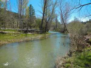 Huelamo SM 5-5-2013 (5)