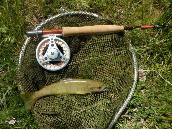 Huelamo SM 5-5-2013 (6)