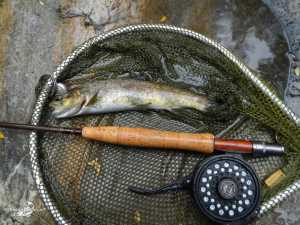 Rio Pelayos y Arbillas 15-05-2013 (3)