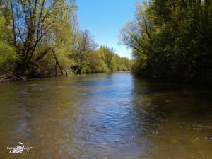 Cerezales mayo 2013 (3)