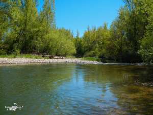 Cerezales mayo 2013 (4)