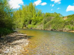 Cerezales mayo 2013 (5)