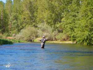 El Condado II 2013 (1)