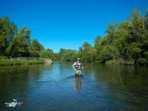 El Condado II 2013 (10)