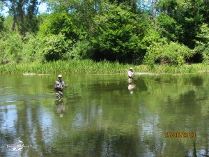 El Condado II 2013 (11)