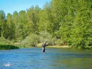 El Condado II 2013 (3)