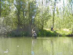 El Condado II 2013 (6)