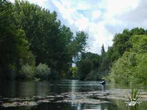 Galisancho junio 2013 (3)