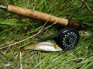 Ventosa 1 junio 2013 (1)