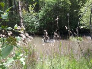 Ventosa 1 junio 2013 (11)