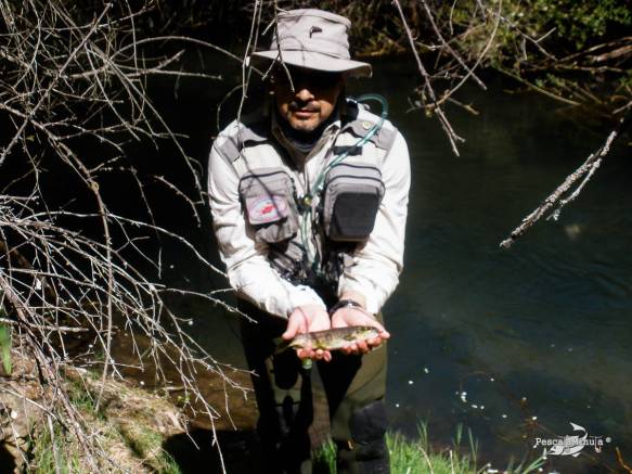 2014-05-17 12.19.29-3