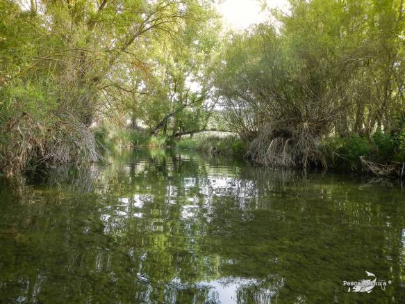 Cristinas río Cabriel 24-5-14 (3)