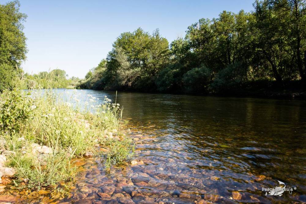 EDS Tera junio 2014 (12)