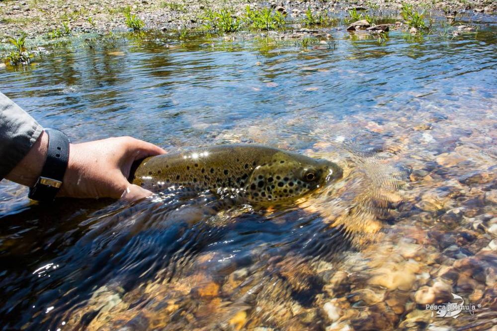 EDS Tera junio 2014 (3)