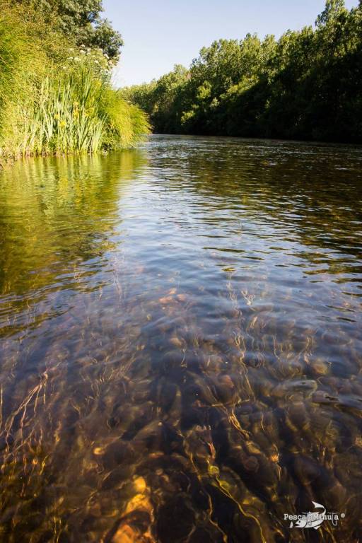 EDS Tera junio 2014 (8)