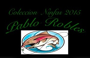 Logo Pablo Robles
