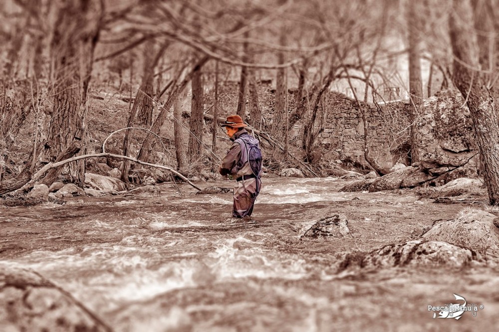 Cega River Season start 2015