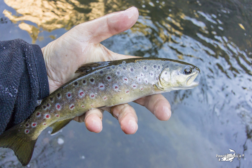 Tajo, final temporada 2015 con Calambres (5)