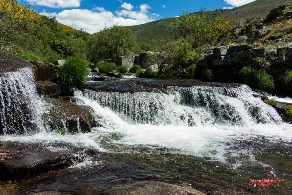 Garganta de Barbellido 2016 (14)