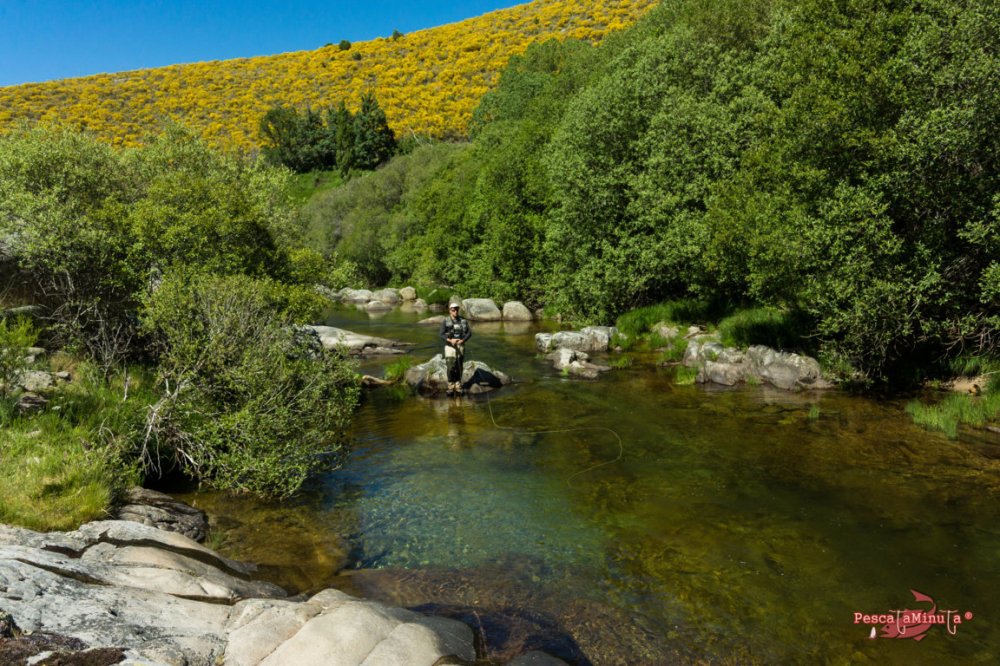 Garganta de Barbellido 2016 (17)
