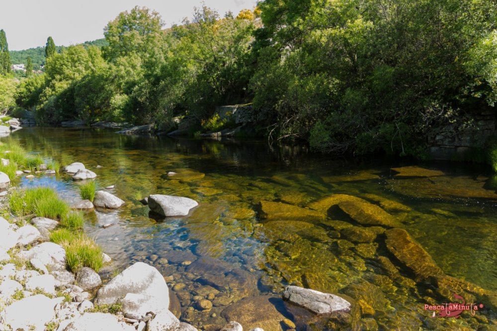 Garganta de Barbellido 2016 (2)