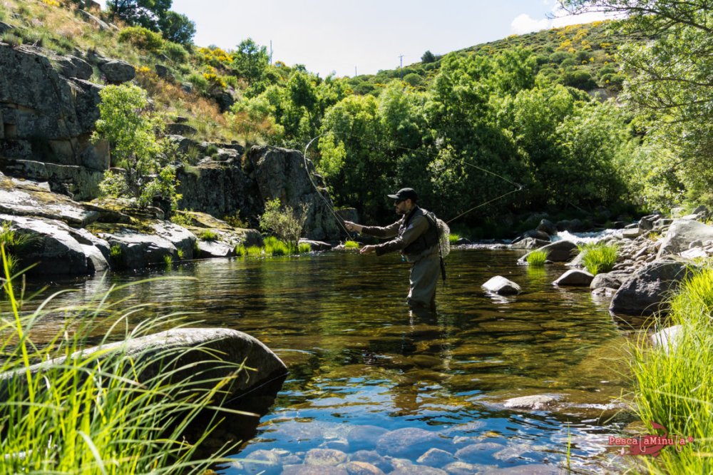 Garganta de Barbellido 2016 (3)