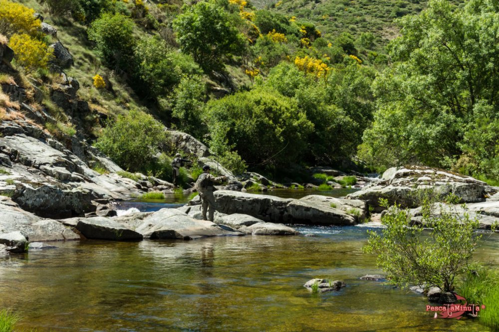 Garganta de Barbellido 2016 (6)