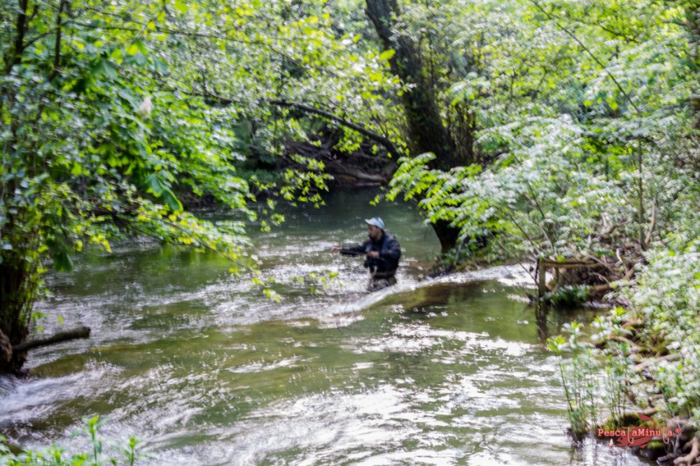 San Felices Rudron mayo 2016 (4)