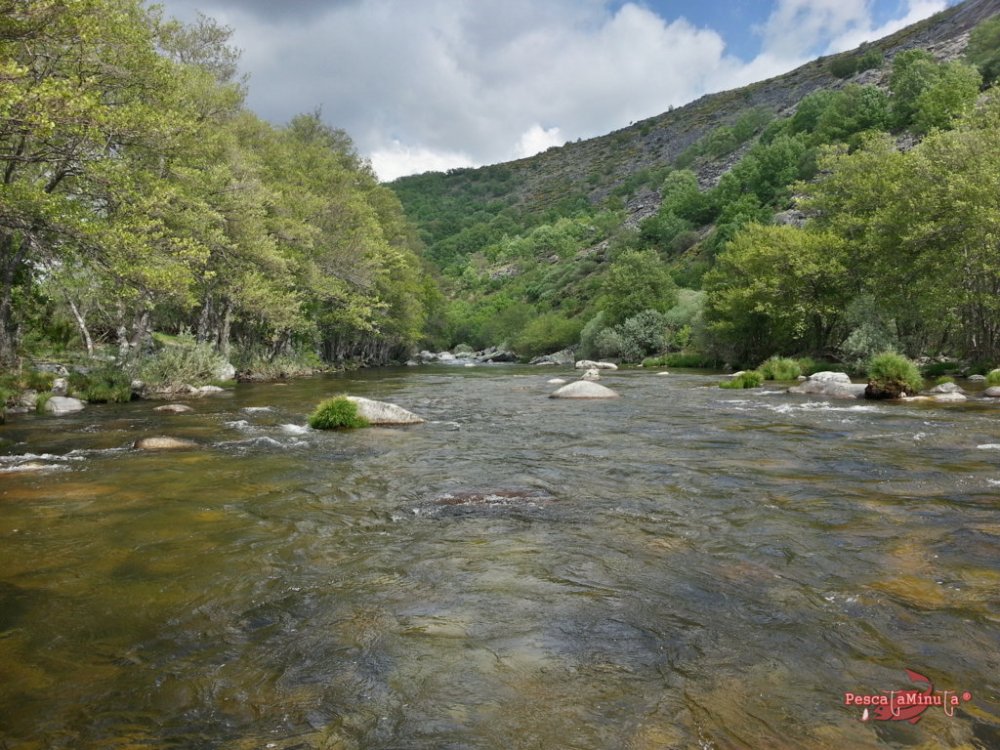 Zapardiel de la Ribera 2016 (13)