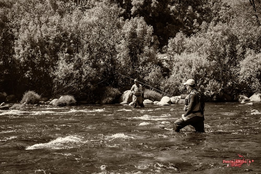 Zapardiel de la Ribera 2016 (3)