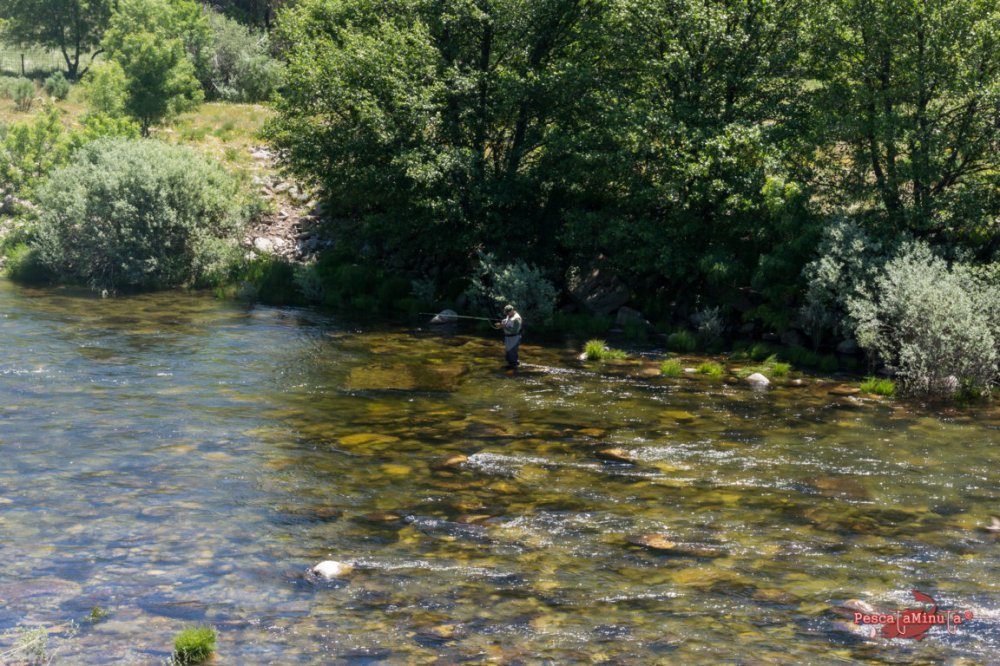 Zapardiel de la Ribera 2016 (4)