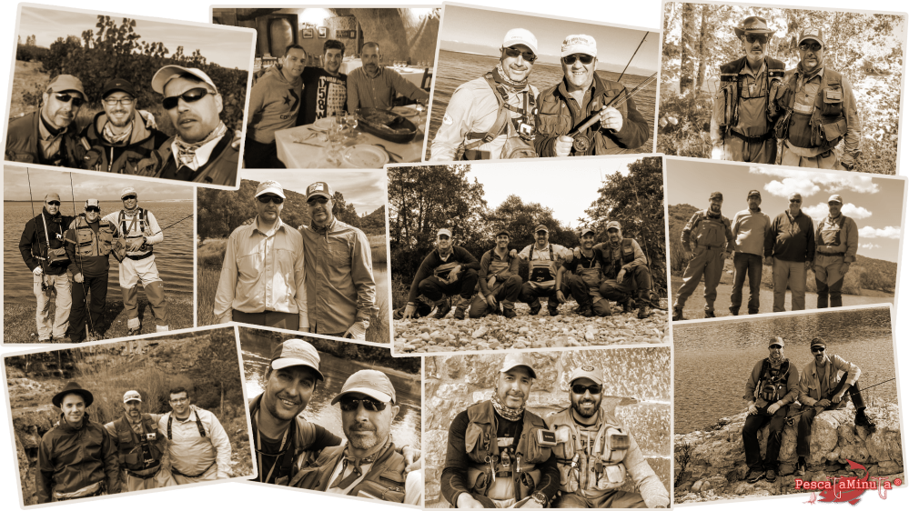 mosaico_friends_pescataminuta_bw_png