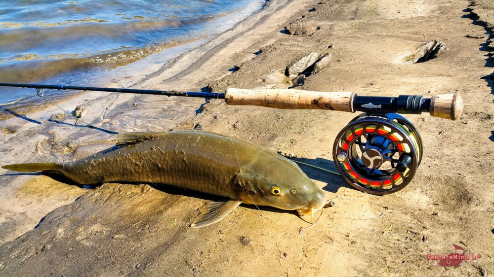 20170302_135837_edit-_edit