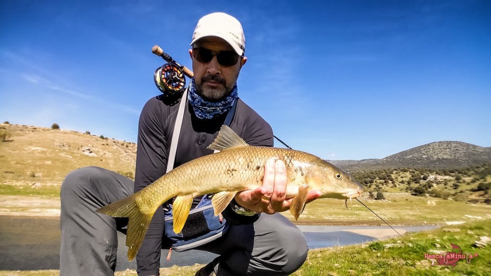 20170302_143354_edit-_edit