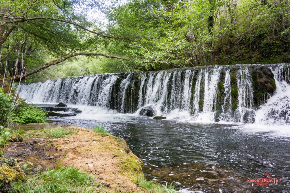 San Felices del Rudrón 2017 (1)
