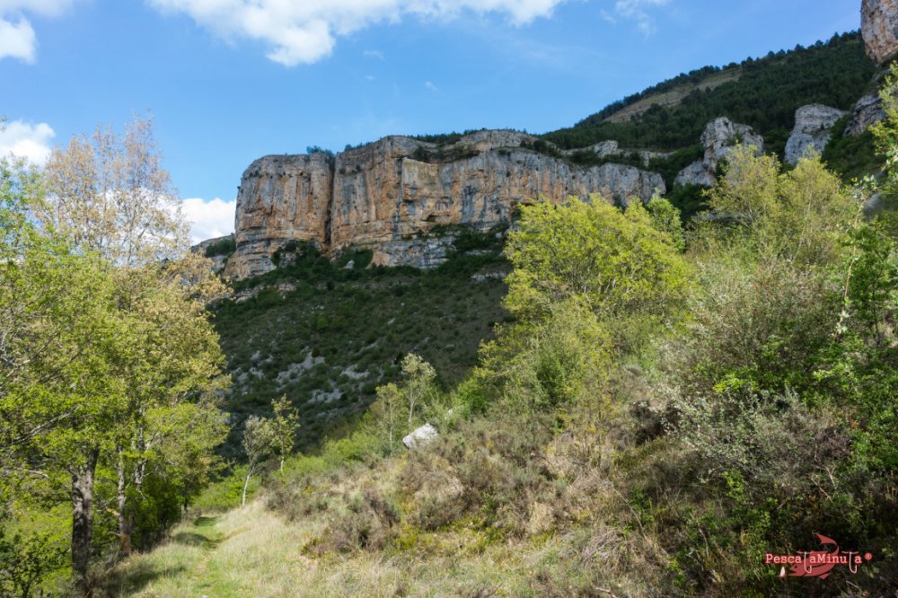San Felices del Rudrón 2017 (12)