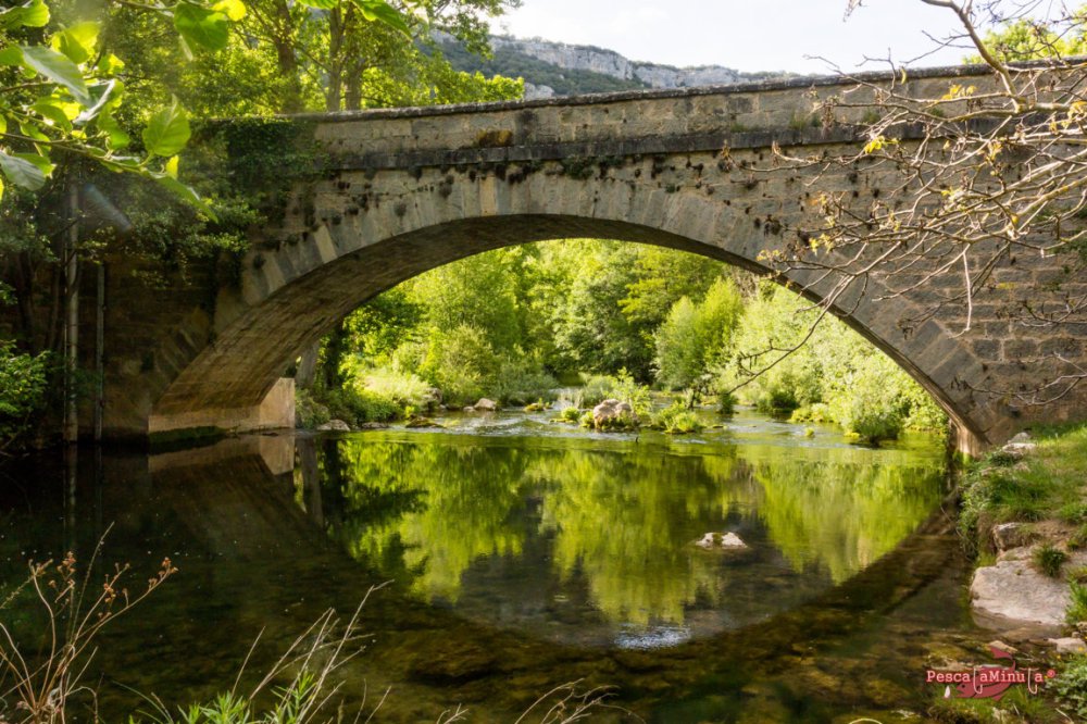 San Felices del Rudrón 2017 (13)