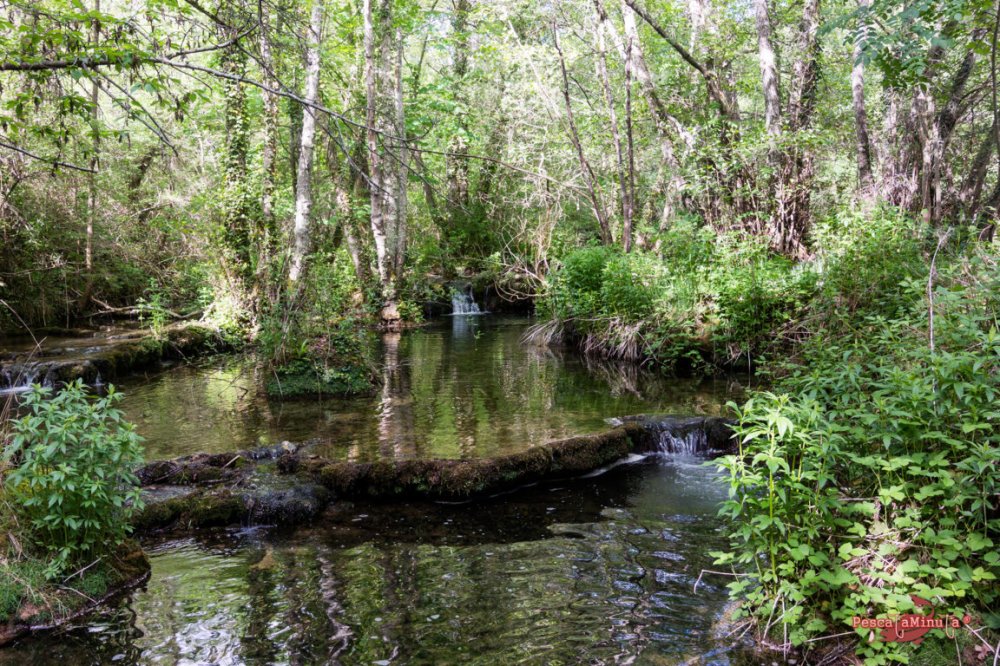 San Felices del Rudrón 2017 (2)